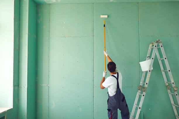 Best Mold Odor Removal Services  in Forest Heights, MD