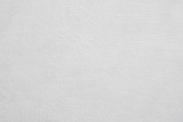 Mold Remediation for Rental Properties in Forest Heights, MD