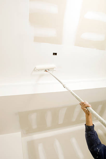 Best Mold Damage Restoration  in Forest Heights, MD