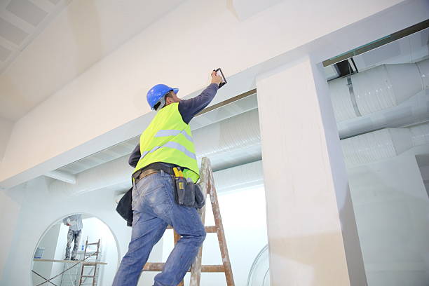 Best Emergency Mold Remediation  in Forest Heights, MD