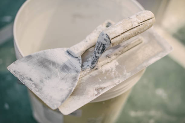 Best Forensic Mold Investigation  in Forest Heights, MD